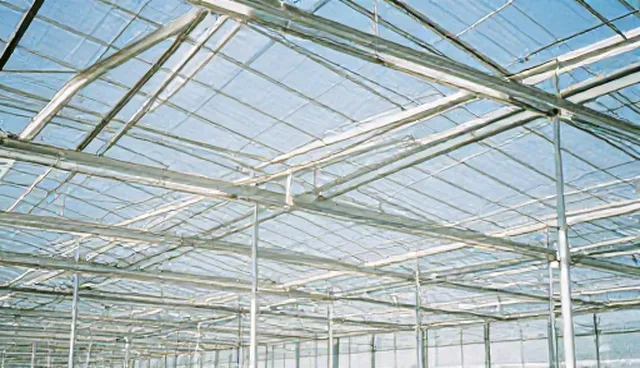 优质种苗套餐：选型关注点的具体分析