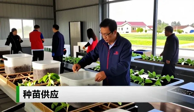 河南博文农业科技有限公司推荐适用于种苗供应的推广服务